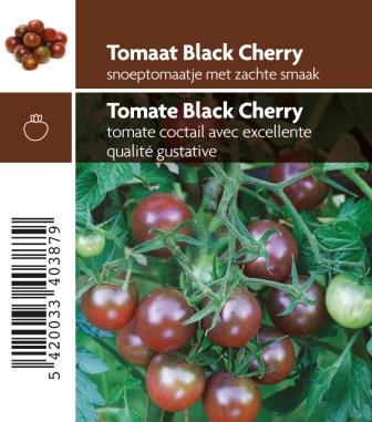 [3410] Tomate Black Cherry F1
