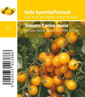 [3440] Tomate jaune cerise Star Gold F1