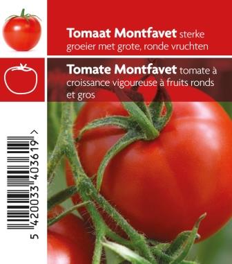 [3710] Tomates Montfavet pot 10,5