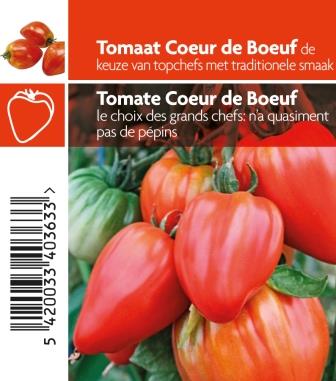 [3640] Tomate Coeur de boeuf  pot 10,5