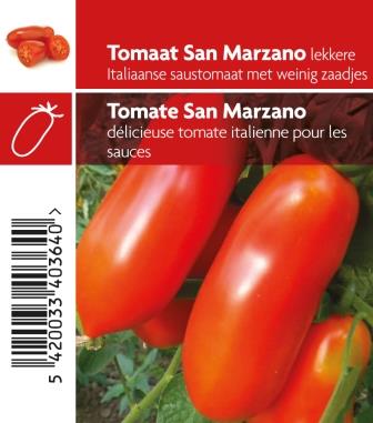 [3800] Tomate San Marzano pot 10,5