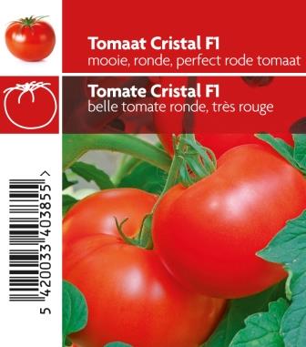 [3650] Tomate Cristal pot 10,5
