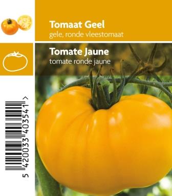 [3680] Tomate jaune pot 10,5