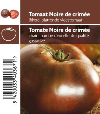 [3720] Tomate Noire de Crimèe pot 10,5