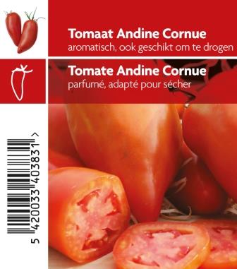 [3610] Tomate Andine Cornue