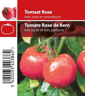 [3790] Tomate Rose de Bern pot 10,5