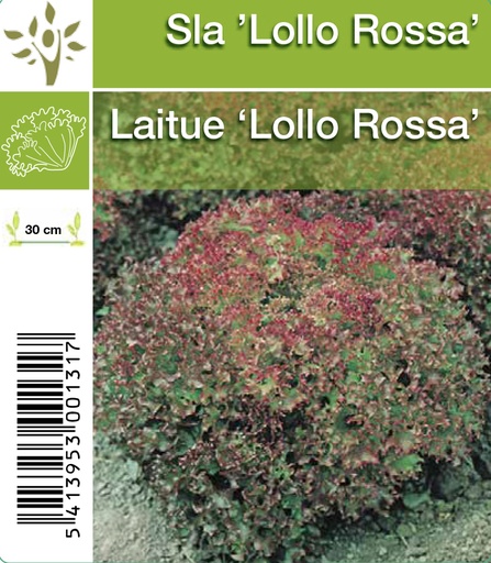 [1102] Lollo Rossa tray (8x6)