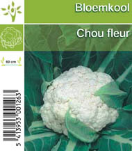 [1130] Chou  fleur tray (8x6)