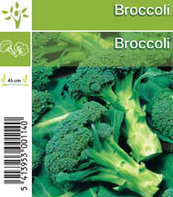 [1133] Broccoli tray (8x6)