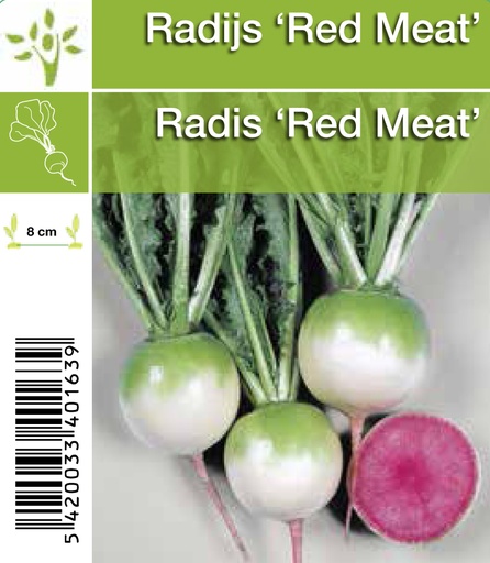 [1180] Radis 'Red Meat'