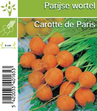 [1196] Carotte Parisienne
