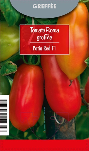 [7570] Tomate greffée Roma