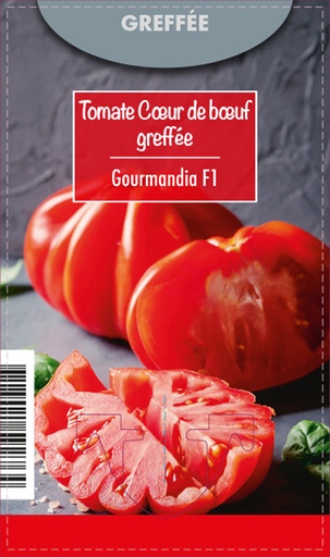 [7630] Tomate greffée C.d.boeuf Gourmandia