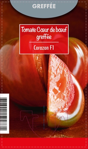 [7730] Tomate greffée c.d.boeuf Corazon