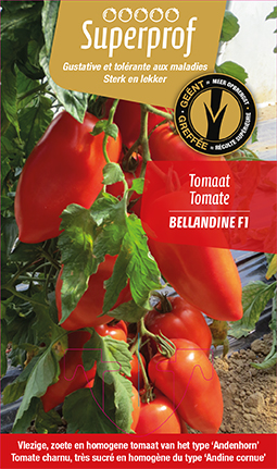 [7830] Tomate greffée cornabel