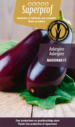 [7100] Aubergine greffée Madonna F1