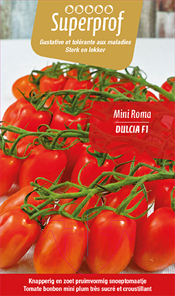 [7500] Tomate Mini-Roma