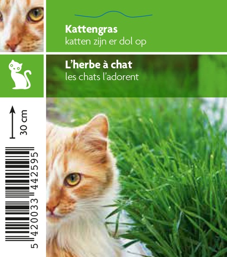 [4259] L'herbe aux chats