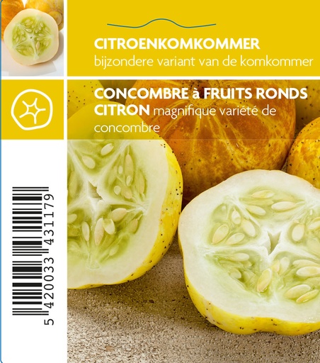 [3117] Concombre à fruits ronds citron