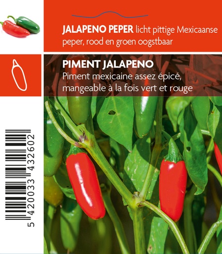 [3260] Piment Jalapeno