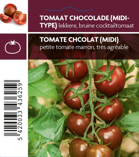 [3625] Tomate chocolat (midi)