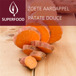 [9825] Patate douce orange pot 14