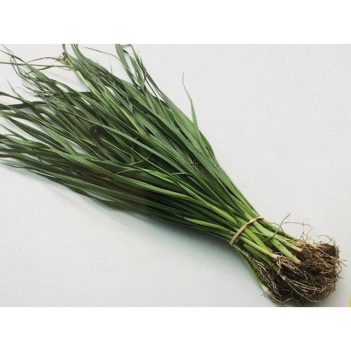 [DEG00036] Poireaux d'hiver à repiquer par bottes de 50 poireaux